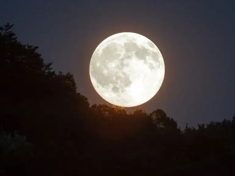 luna llena - 1