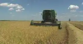 Buscan producir biohidrógeno a partir de residuos agrícolas