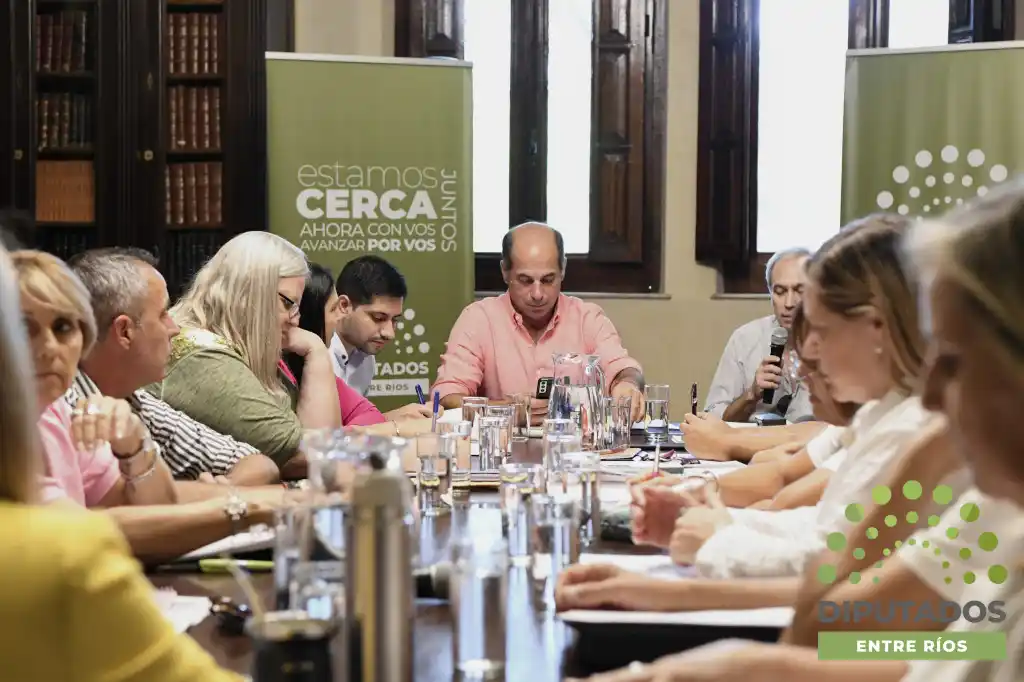 Trataron proyectos para terapistas ocupacionales y agentes de propaganda médica