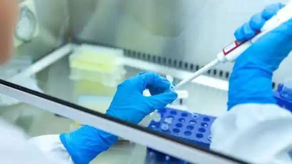 ¿HASTA CUÁNDO LA PANDEMIA? Detectan nueva variante de la COVID-19 en Sudáfrica “con múltiples mutaciones”