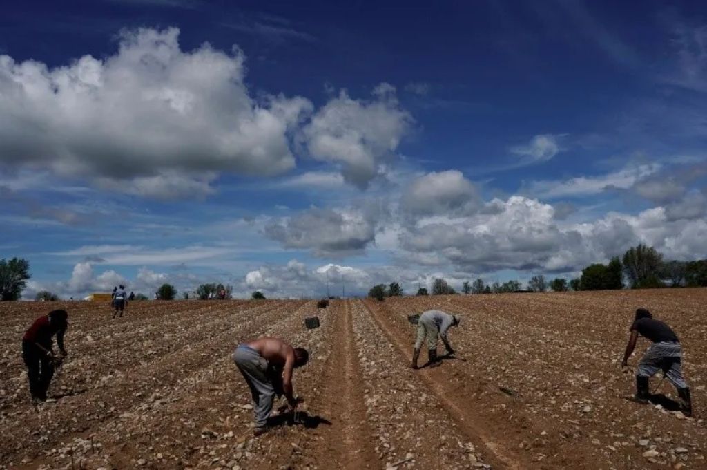 Descubren una red de esclavitud en EE.UU. que facturó más de US$ 200 millones