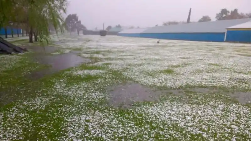 Registraron en video la granizada que afectó a la zona rural de Basavilbaso