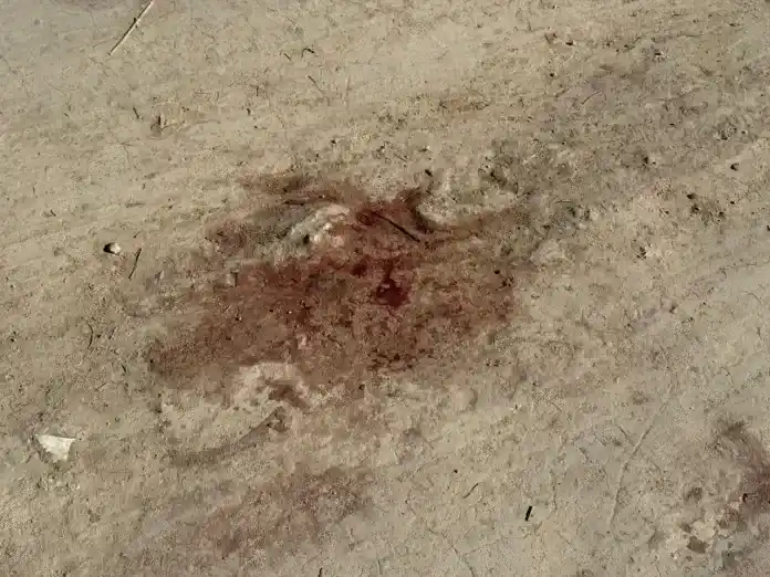 Brutal homicidio en Entre Ríos: así quedó el lugar donde asesinaron a un joven de 30 años