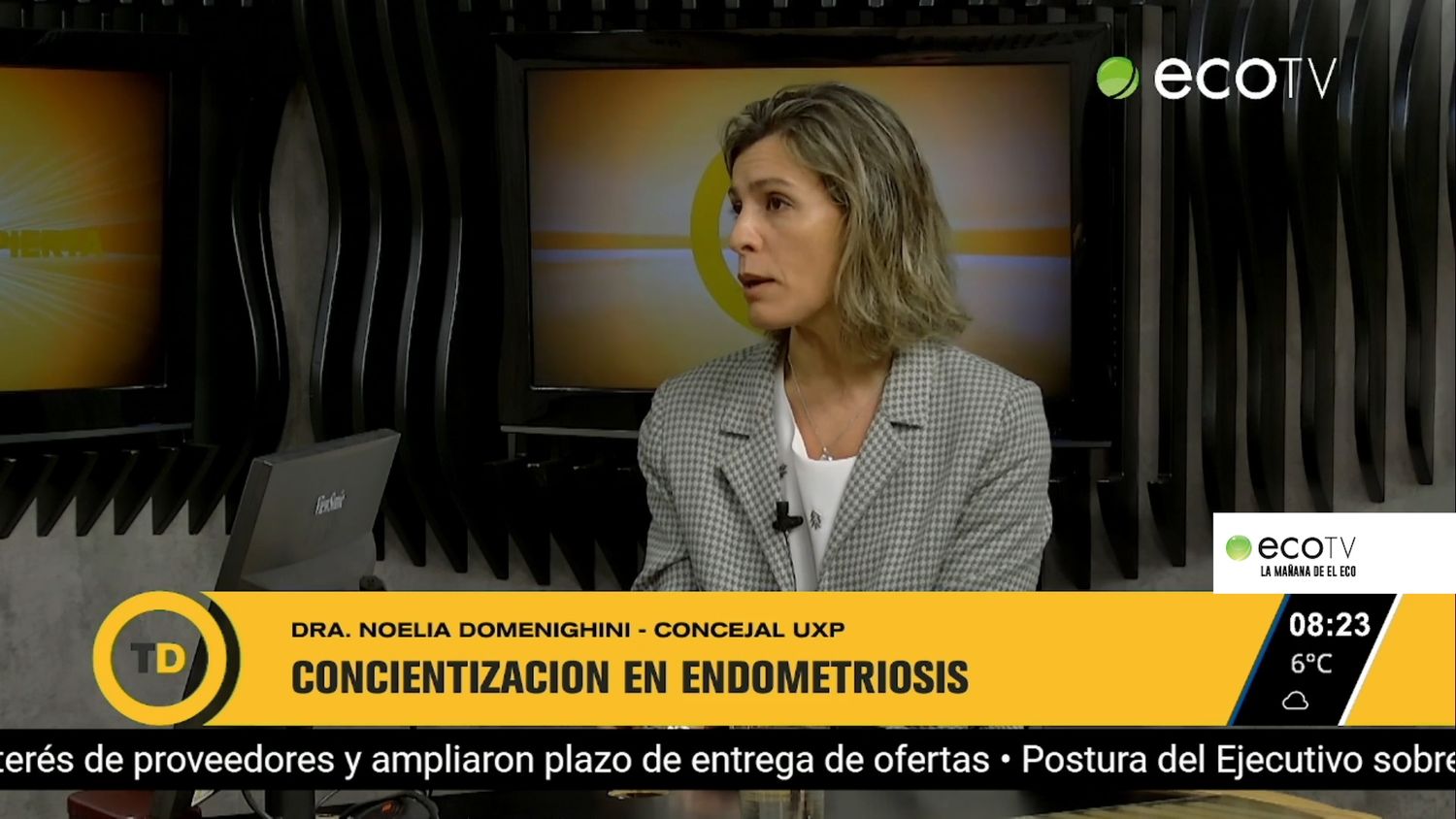 Proyecto para concientizar sobre Endometrosis