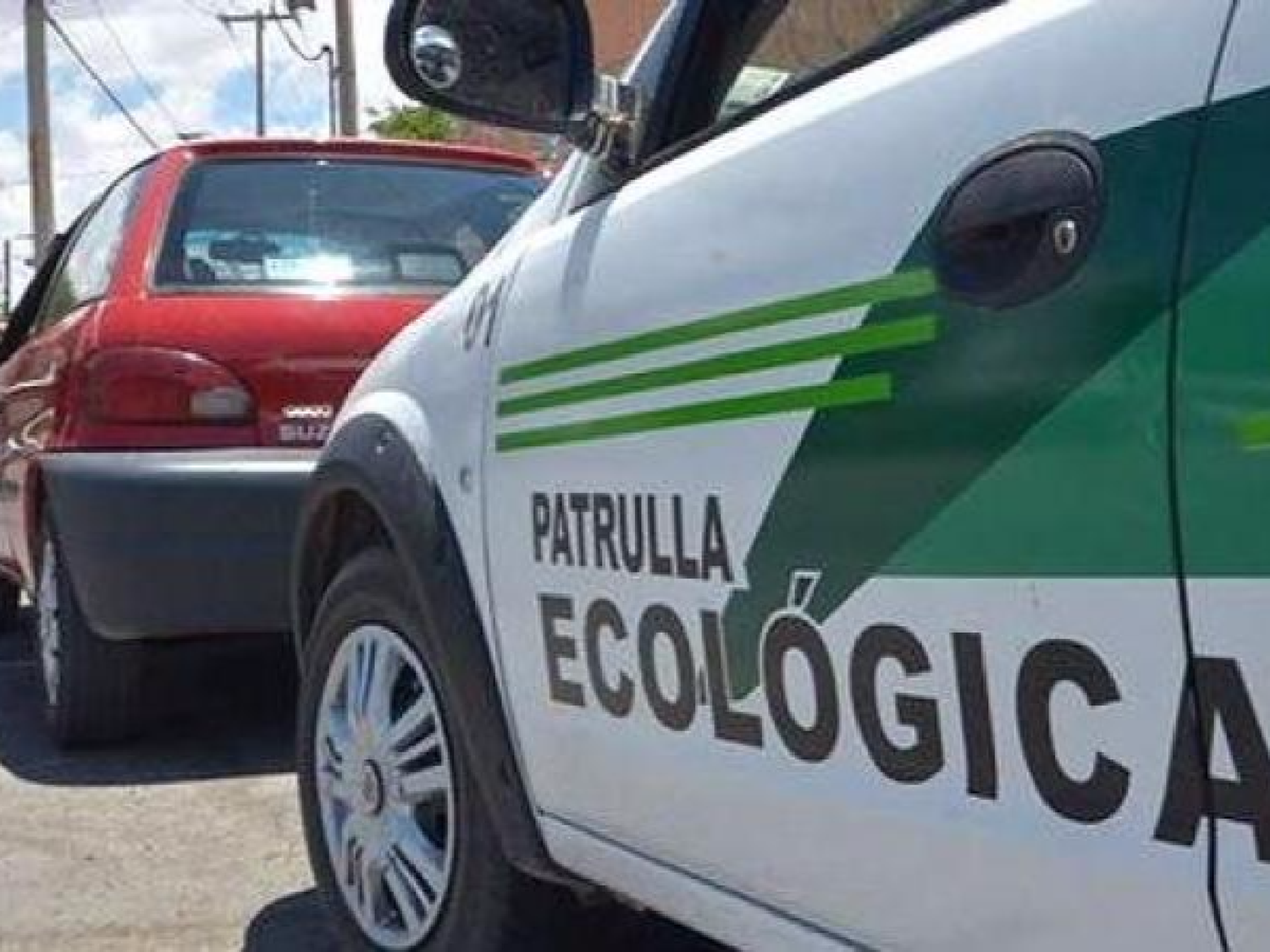 Proponen crear una Patrulla Ecológica en San Francisco 