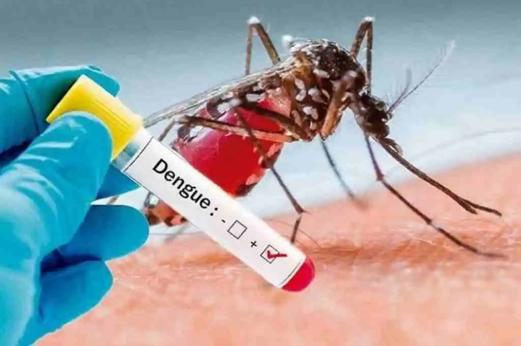 Insisten con las medidas preventivas para evitar la reproducción del mosquito.