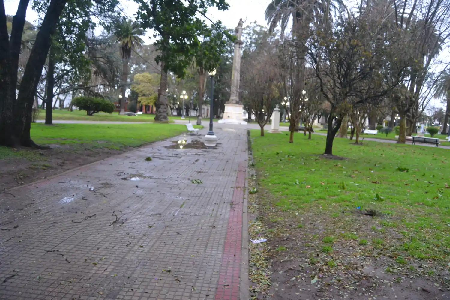 Coronavirus: 15 nuevos positivos en Gualeguay