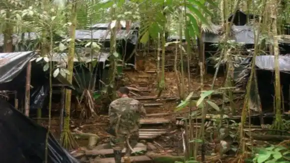 EN CAMPAMENTO DE “IVÁN MORDISCO”: abatidos 10 guerrilleros de las disidencias de las FARC en Colombia