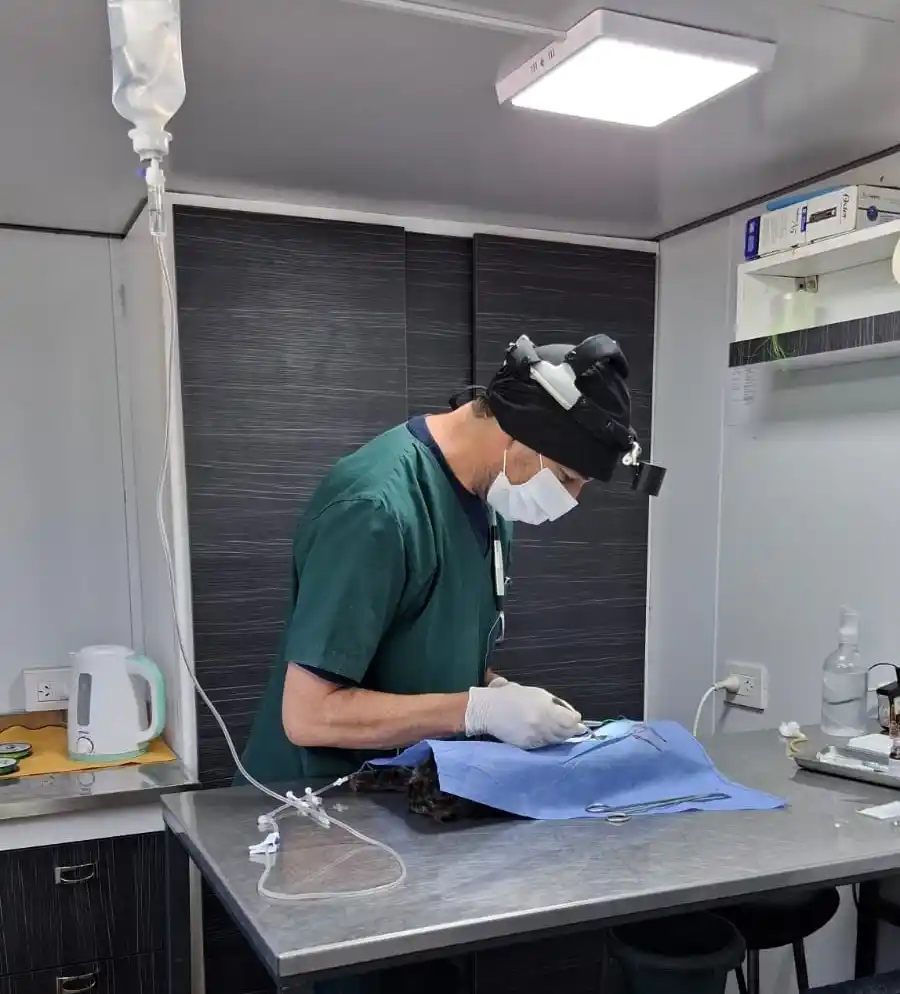 Personal municipal en plena cirugía.