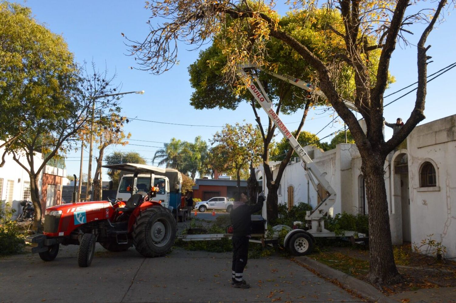 Venado: las cuadrillas municipales efectúan trabajos de desmalezado y limpieza en plazas y espacios verdes