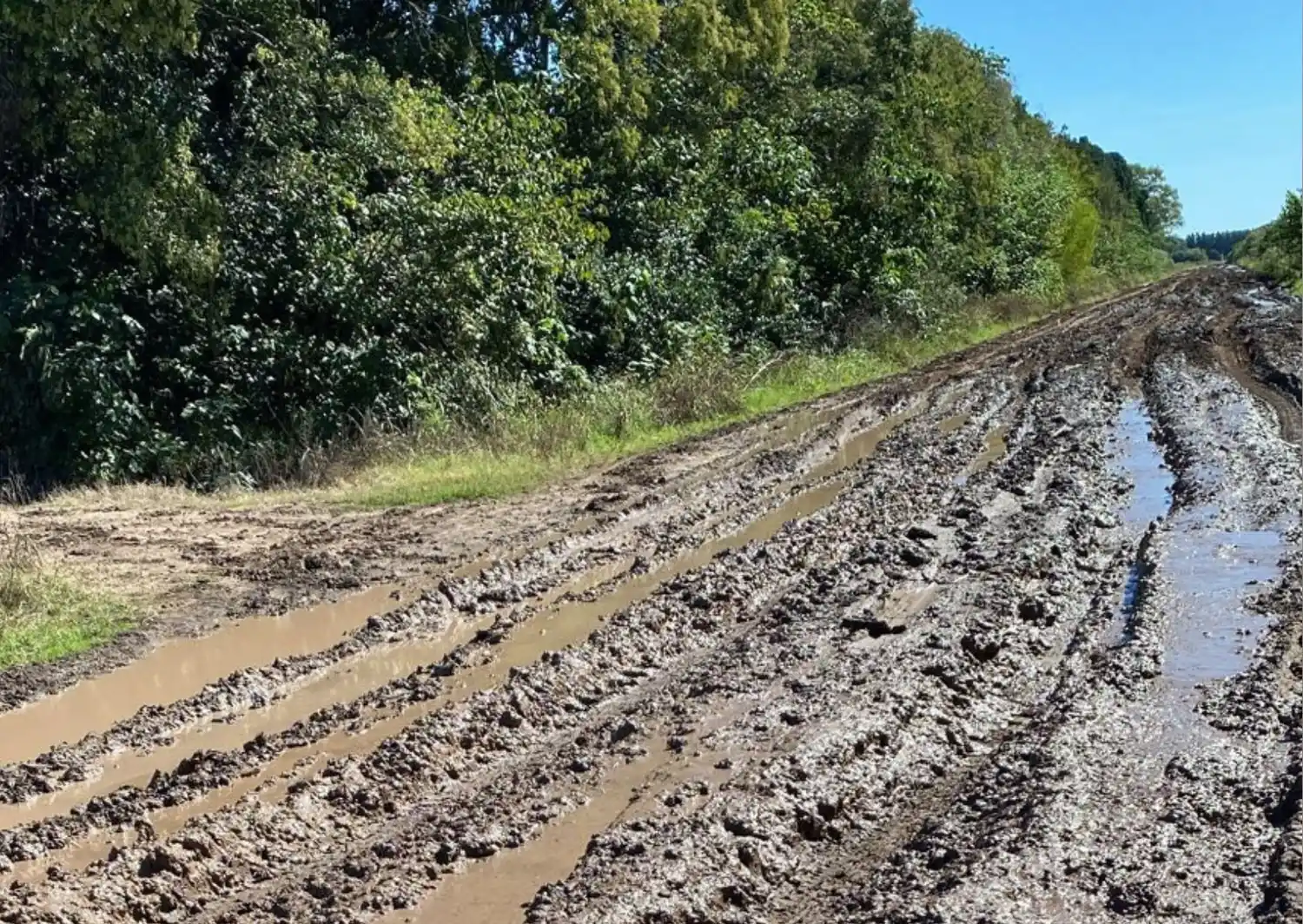 El estado en que está actualmente el camino hacia la escuela. Foto: grupo de padres de la escuela Islas Malvinas.