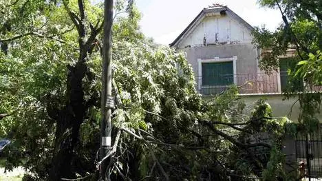 Temporal: El Intendente de Quilmes decretó la "emergencia climática"