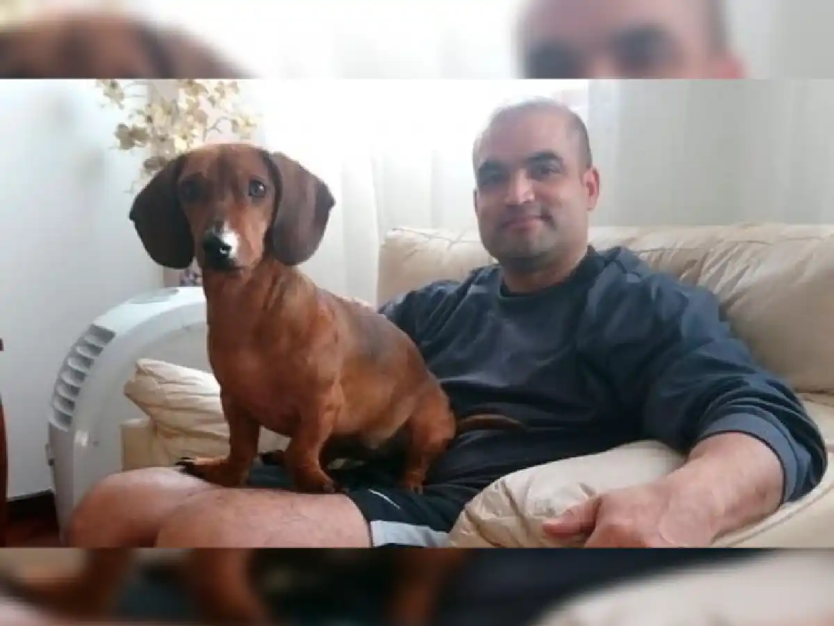 La pareja de Ivana Módica dice que actuó por "emoción violenta"