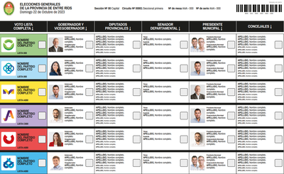 Boleta Única de Papel: cómo será el voto en las elecciones 2025 y qué hacer si tachás a un candidato