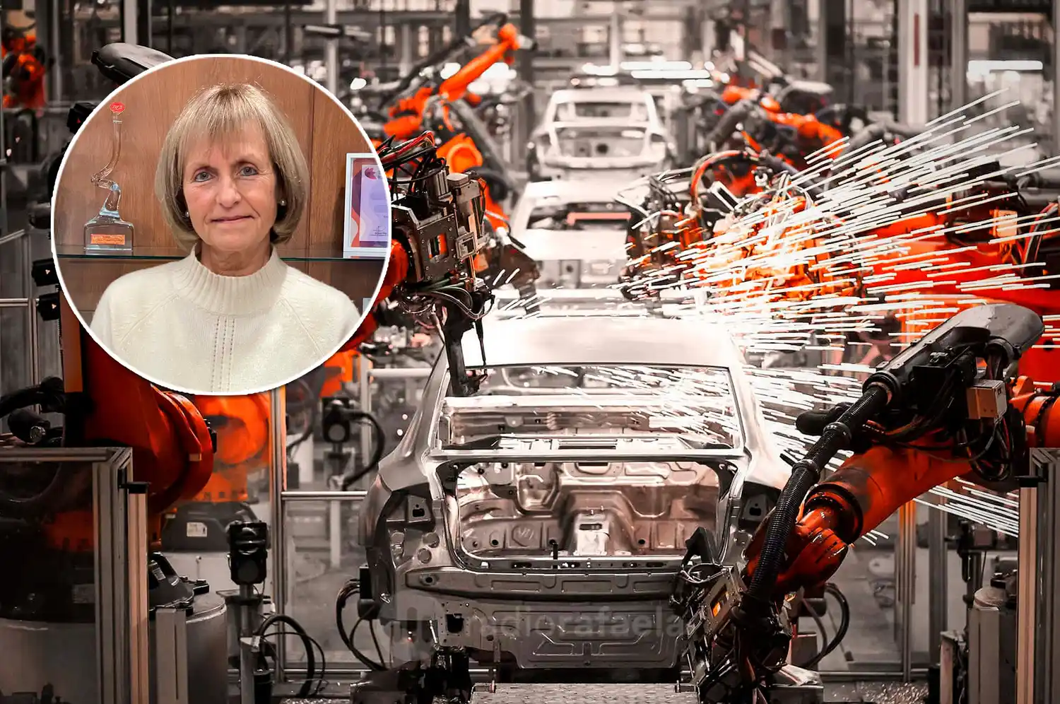 La industria, complicada...: "No hay una muy buena perspectiva a futuro, porque sin rentabilidad no hay inversiones"