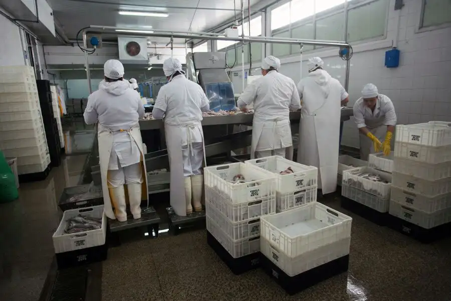 "Hay un desmantelamiento de la estructura productiva cada vez más grave"