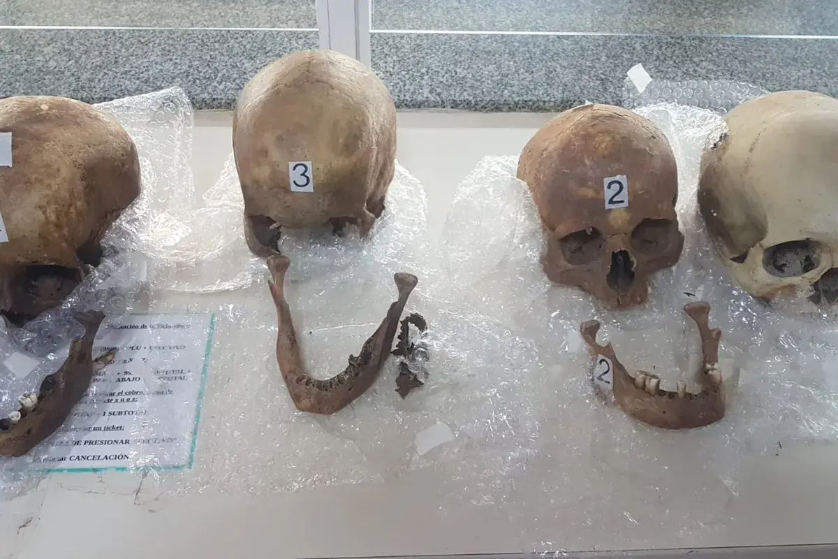 La Aduana secuestró cuatro cráneos humanos que llevaba en su valija una mujer que ingresó desde Paraguay