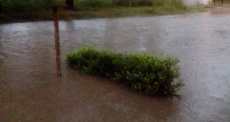 Temporal: Desde las localidades no reportaron inconvenientes