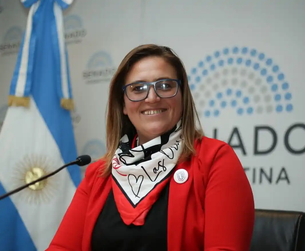 Minnaard propone “recortar fondos, y reorganizar el Estado provincial”