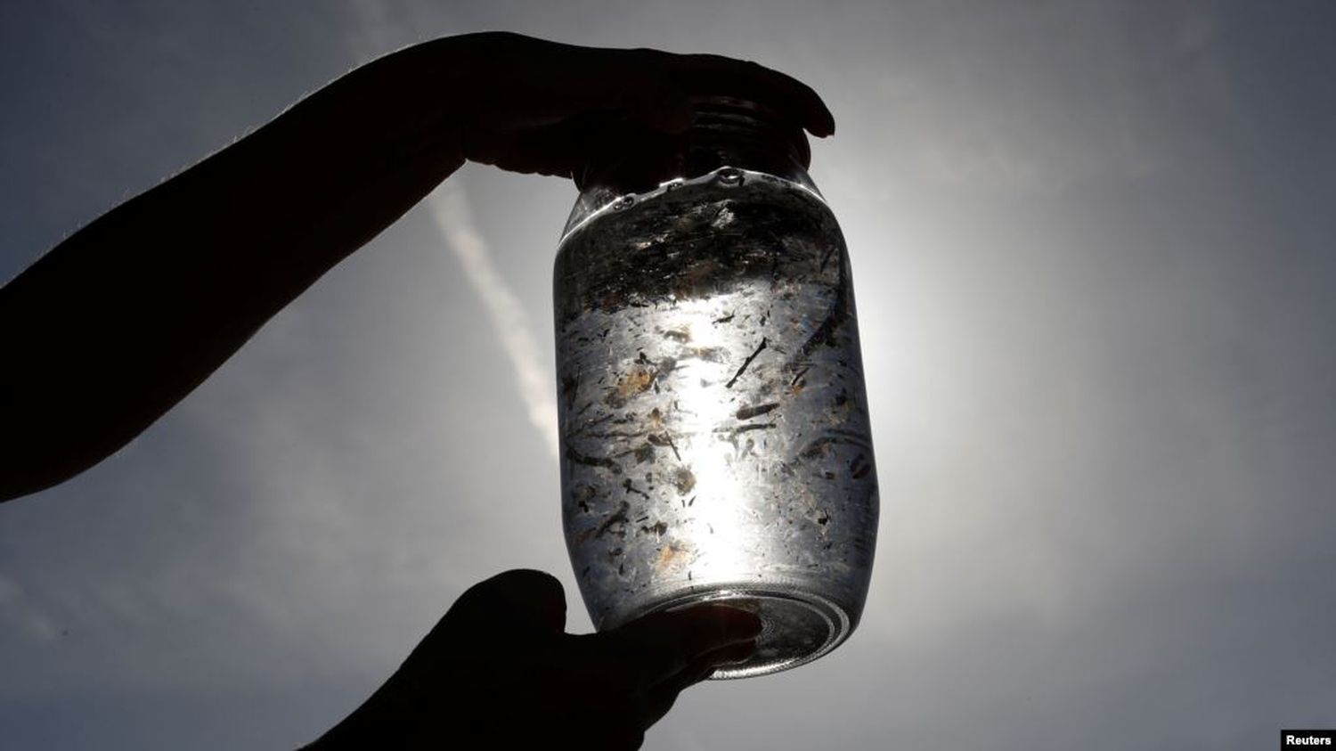 Pequeños trozos de plástico pueden estar ingresando a nuestros cuerpos a través del aire y los alimentos