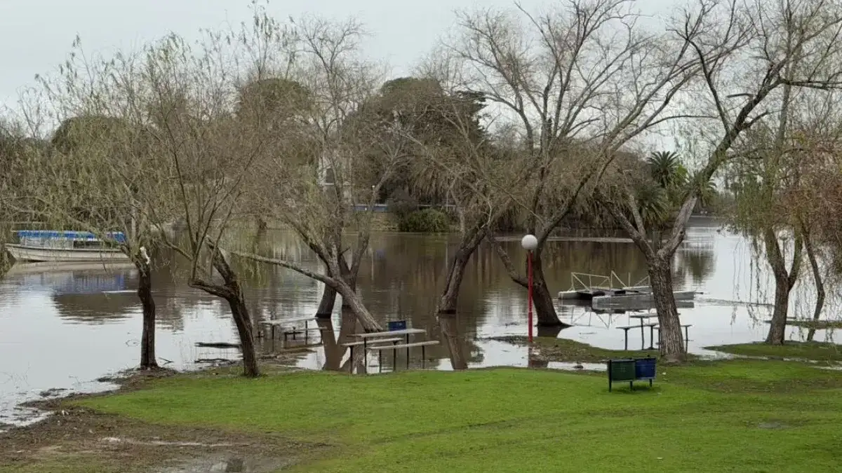 Crecida del río Gualeguaychú: a qué nivel llegó y qué se prevé en las próximas horas