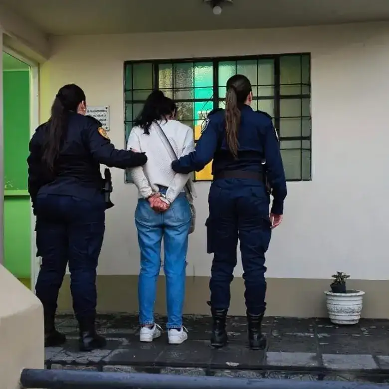Victoria: detuvieron a una mujer por presunto robo de campera en local