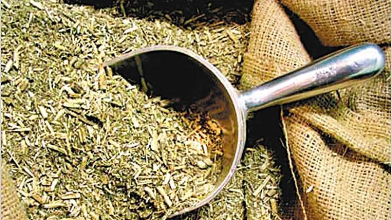 Unos 22 millones de kilos de yerba mate se consumieron durante marzo