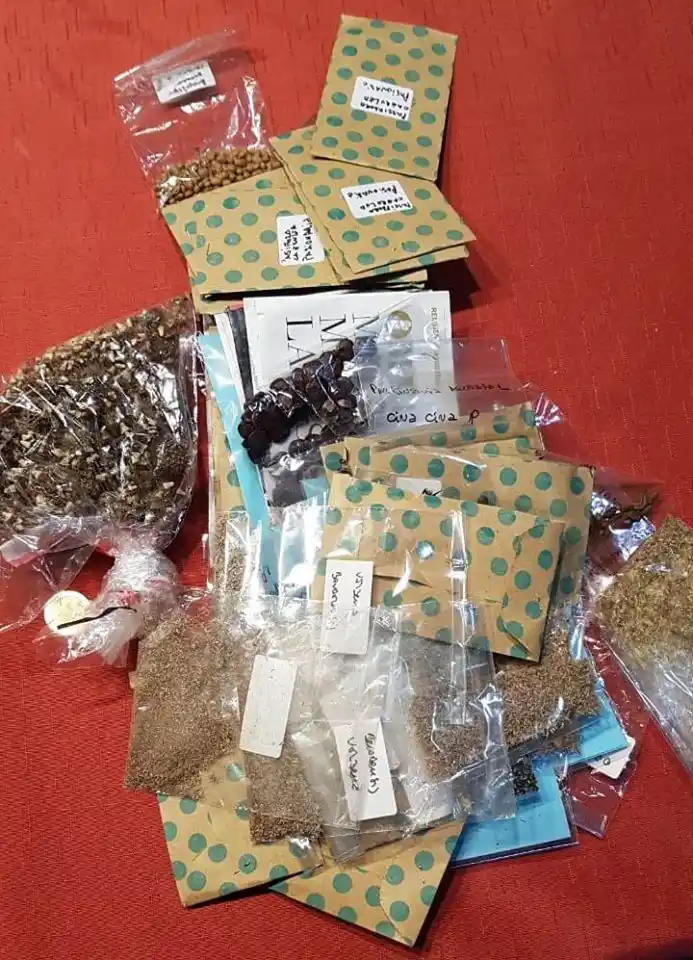 Entregaron semillas nativas al Vivero Municipal de Lobería
