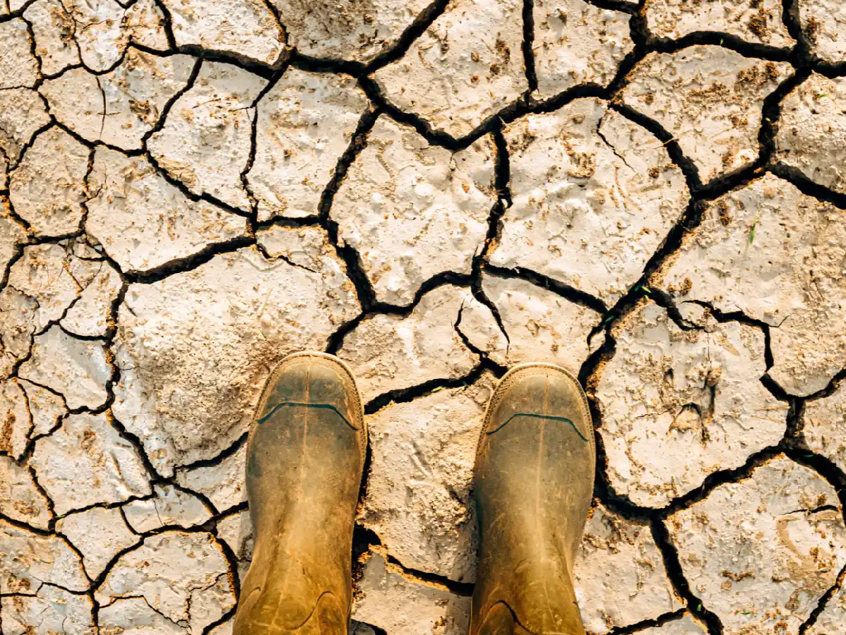Cambio climático: la advertencia más dura
