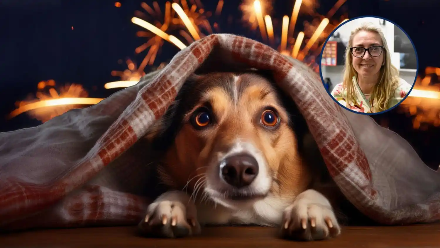 “No somos empáticos”, dijo Cassina sobre el impacto de la pirotecnia en las mascotas que volvió a encender alertas.