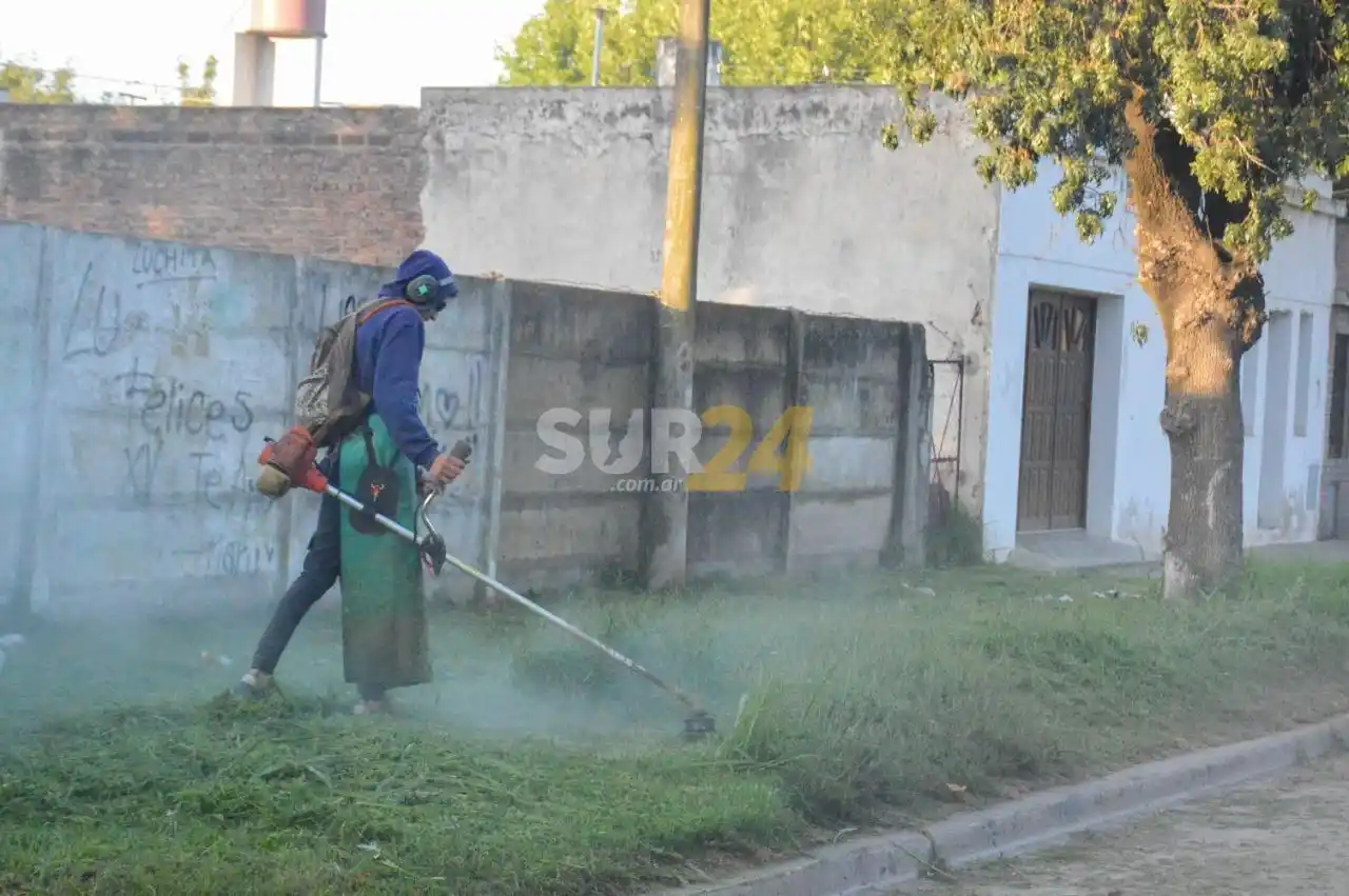 Intenso trabajo de poda, desmalezado y limpieza en toda la ciudad 