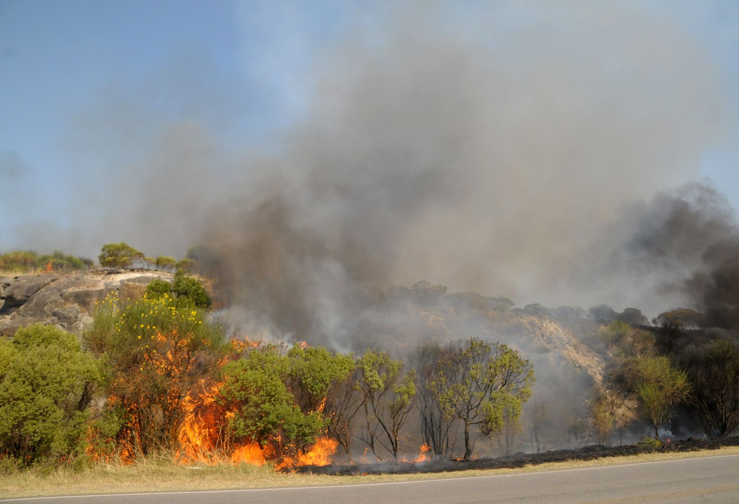 Tandil vivió una jornada con más de 40 grados de temperatura, cortes de luz e incendios de magnitud