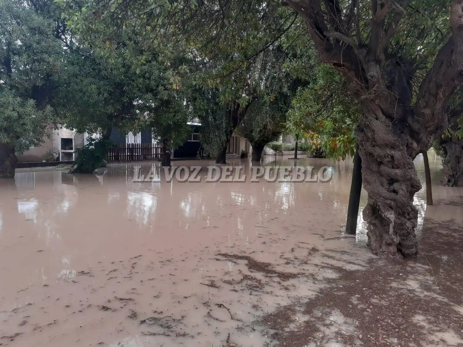 LLUVIA - 1
