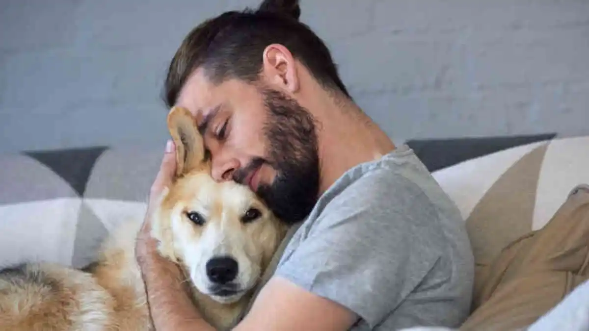 Los perros pueden oler cuando alguien es mala persona, revela un estudio científico