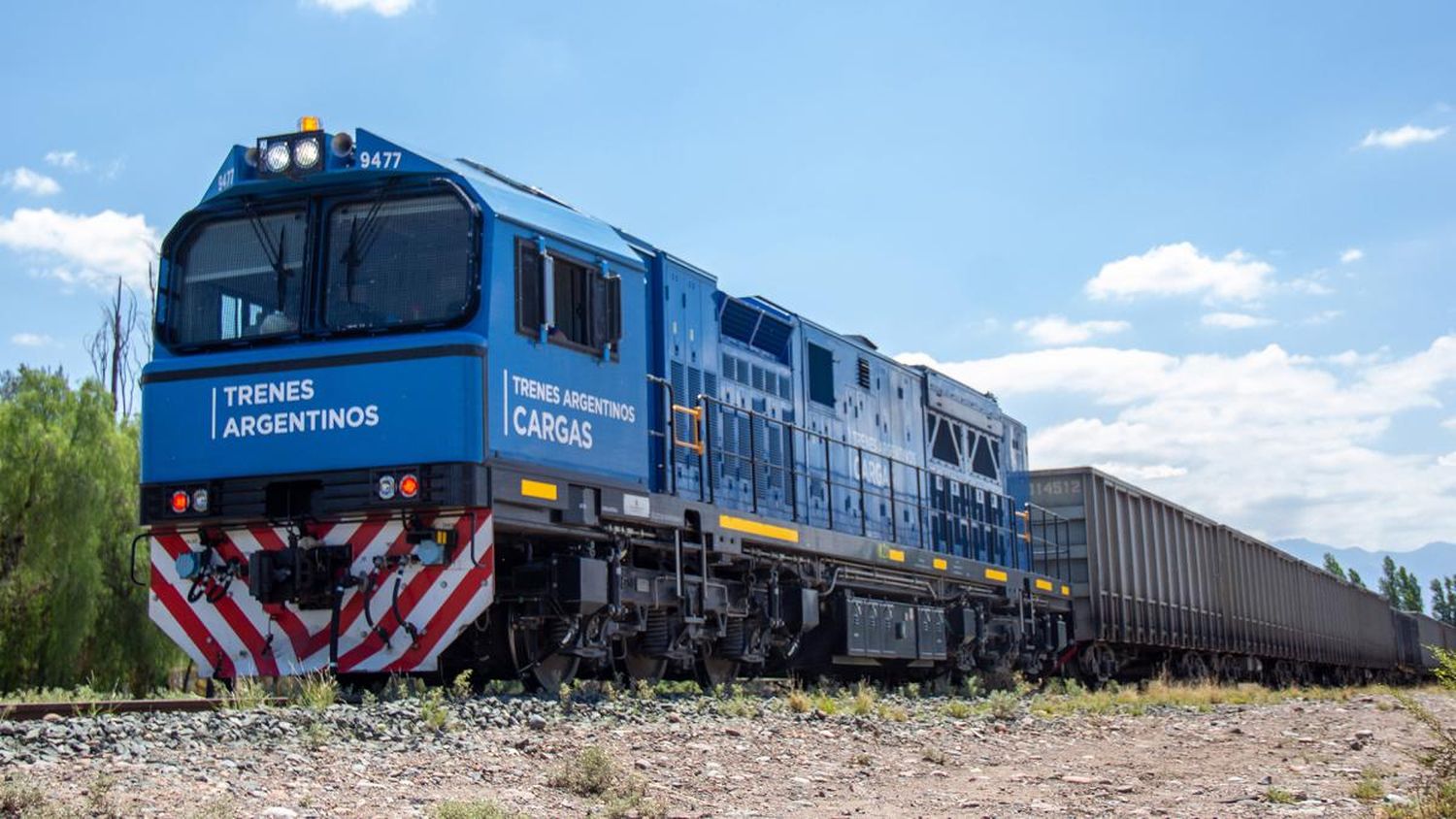 Según el titular de Trenes Argentinos Cargas, "La privatización no funcionó"