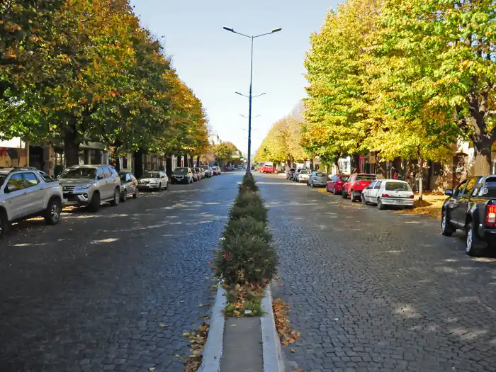 Nuevo corte de tránsito y cambios de recorrido en el transporte por obras en avenida Colón