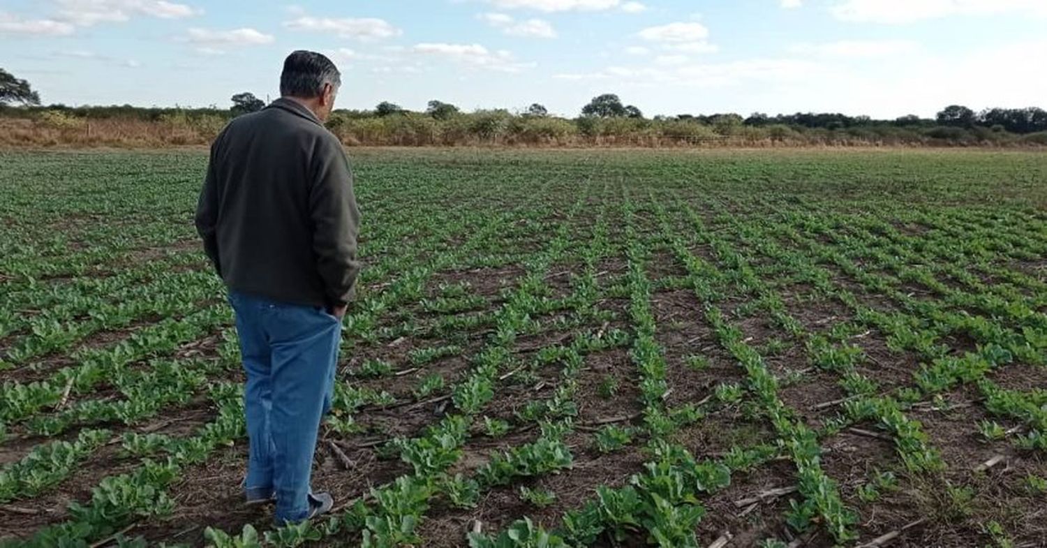 6 de Agosto: “Día de las Ciencias Agropecuarias en la República Argentina”