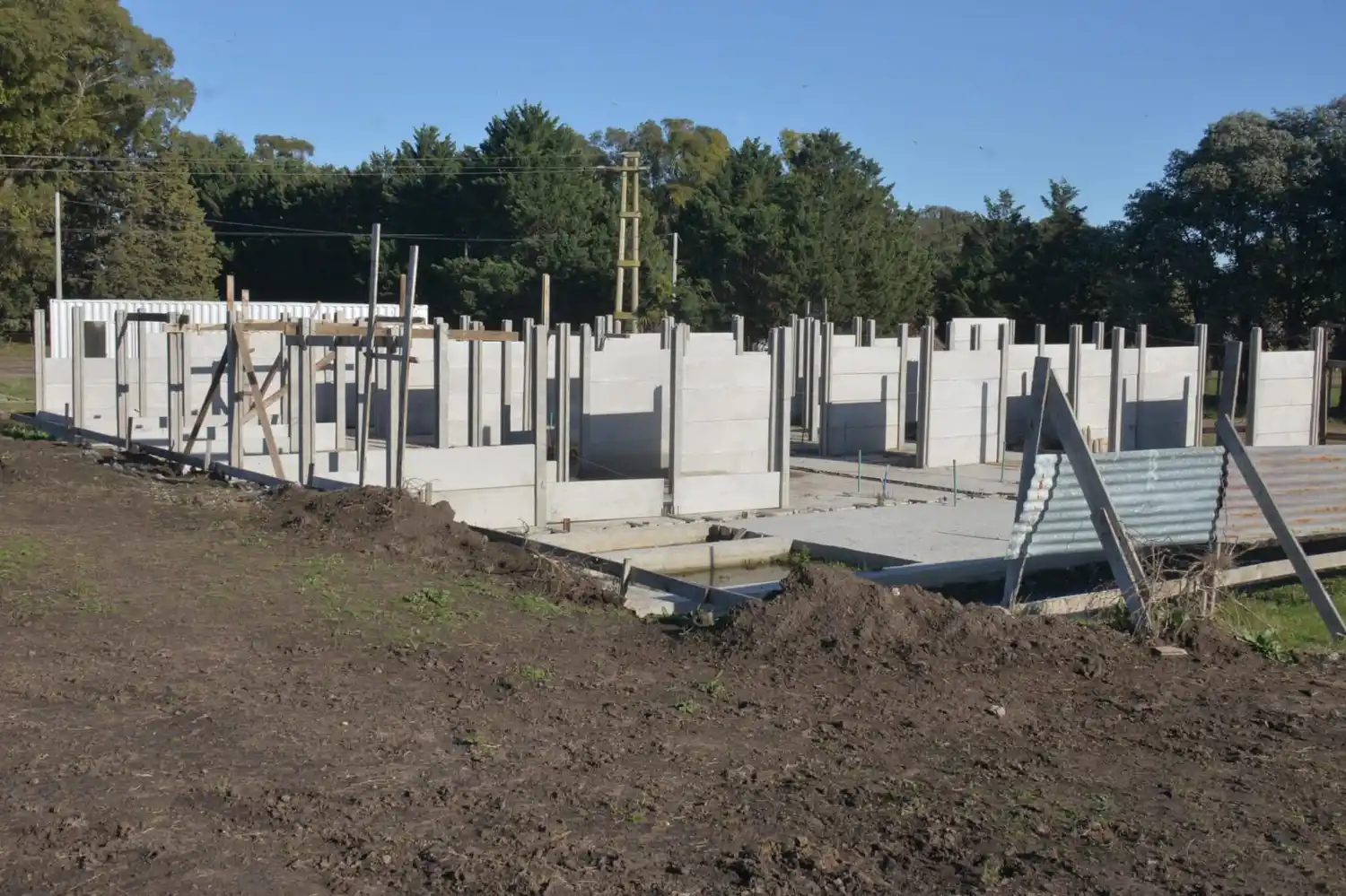 predio zoonosis 11-07-23 - 1