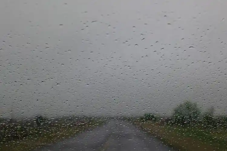 El alivio universal, el año arrancó con una lluvia indispensable