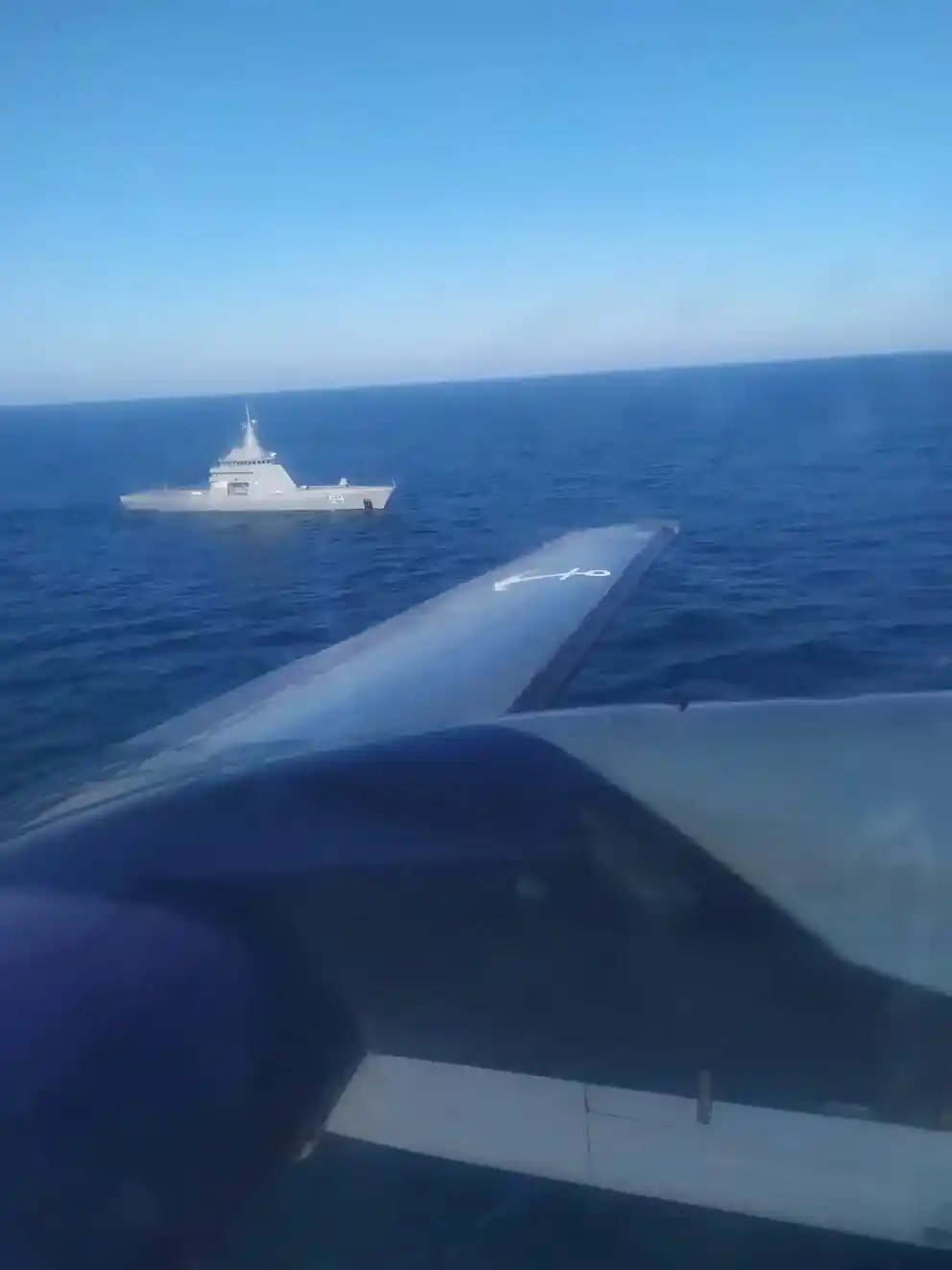 Continua la búsqueda