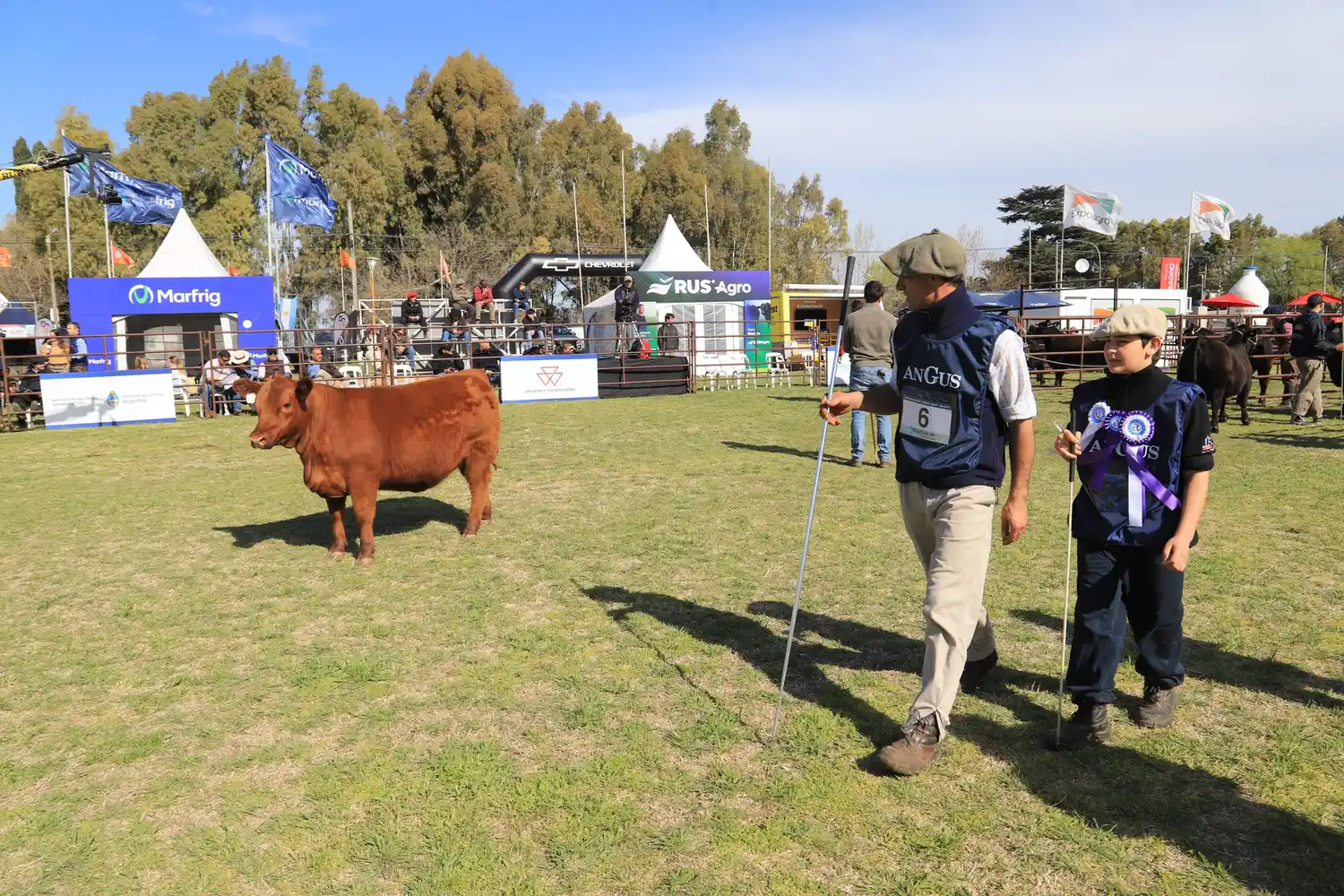 La calidad de los ejemplares, la gran protagonista del inicio de la Primavera de Angus
