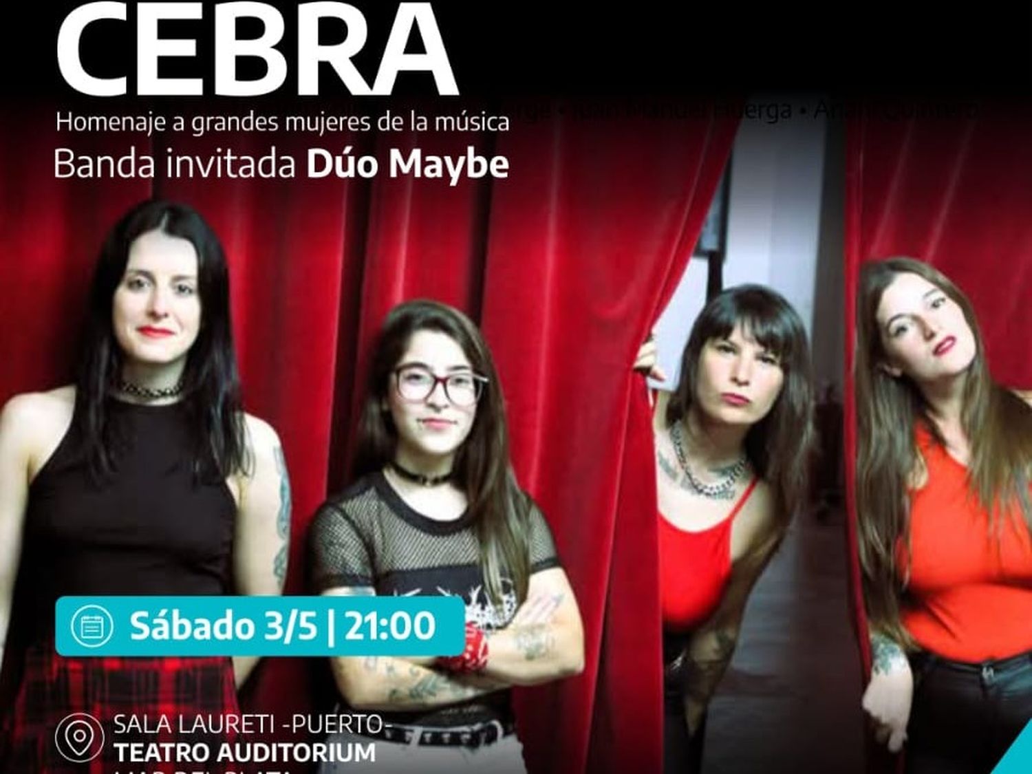Cebra se presenta en el Puerto
