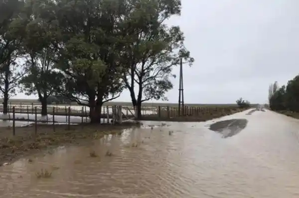 Se vistió de héroe: Cómo fue el dramático rescate del intendente de Patagones a los vecinos inundados hasta el techo
