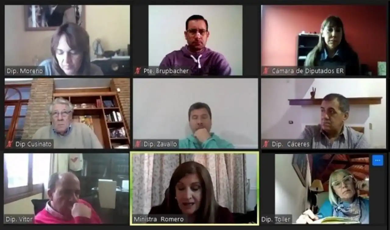 Diputados trataron el proyecto de ley sobre la disolución y liquidación de LAER