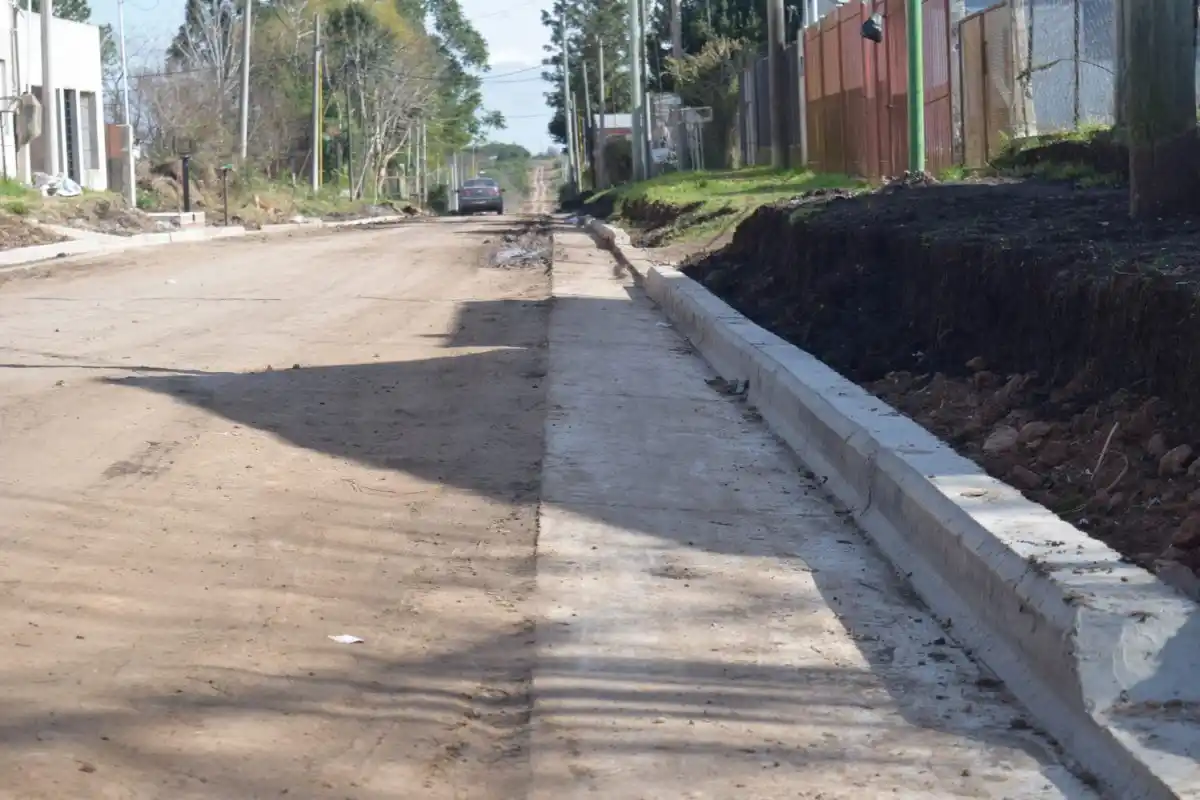 Mejoramiento vial: Avanzan trabajos en calle Margalot