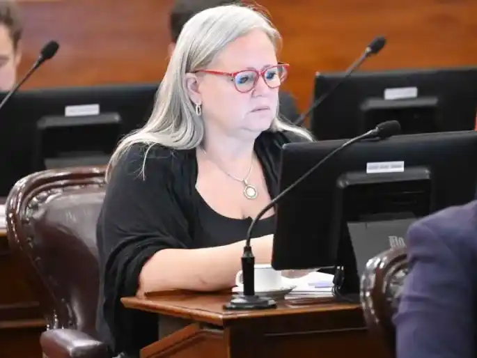 “Después de 20 años, Entre Ríos empieza a elevar la vara”, afirmó la diputada Susana Pérez