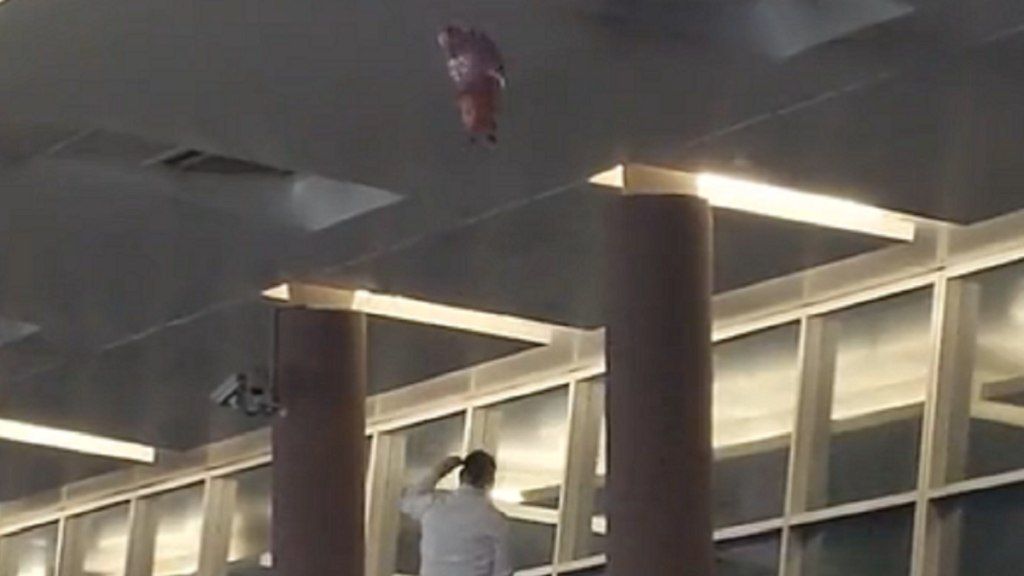 Video: argentinos y uruguayos se unieron para rescatar a Peppa Pig