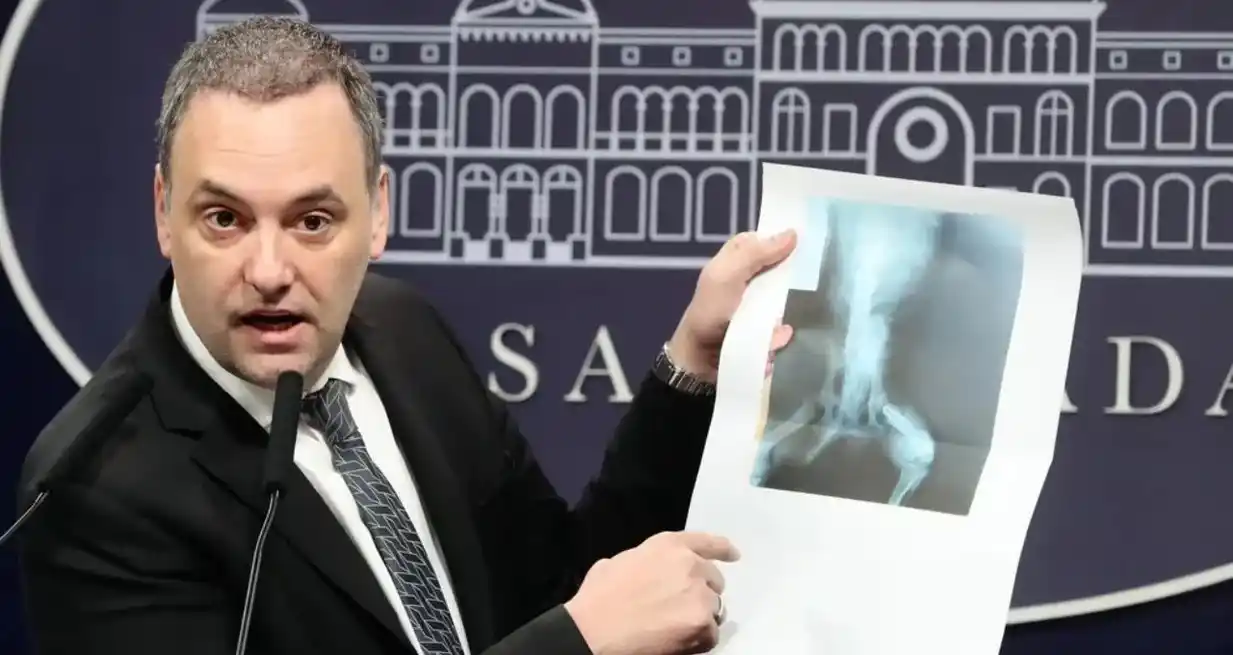 Otra filtración de los audios: Spagnuolo trató de “pelotudo” a Adorni por mostrar la radiografía del perro