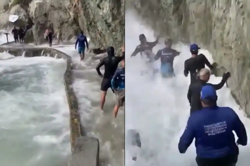 Pánico en el Acuario Santa Marta