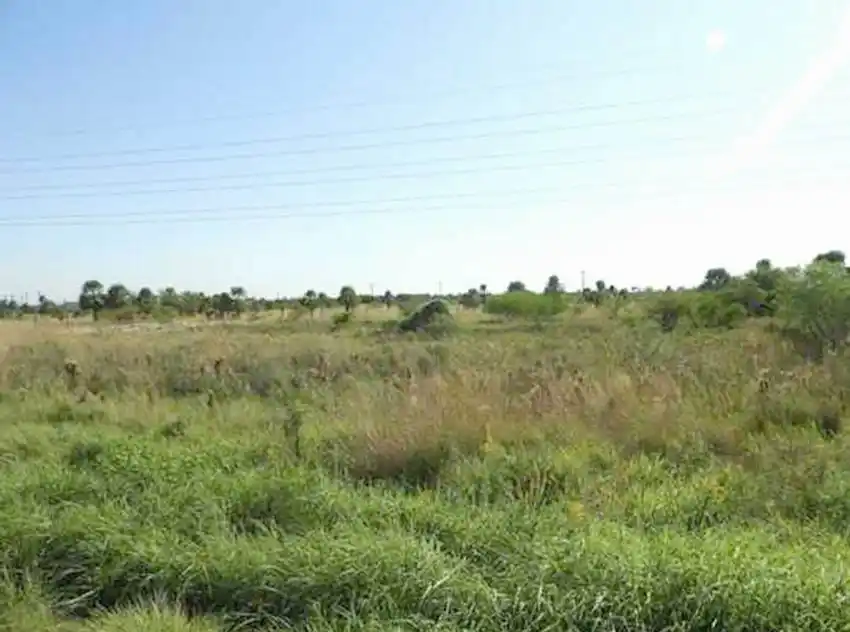 La Municipalidad advierte a los vecinos sobre 
venta de terrenos sin aprobación catastral